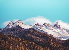 西海岸压哨扳回一城!何宇鹏犯规送点,戴维森造点+勺子点球命中